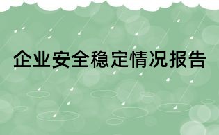 企业安全稳定情况报告