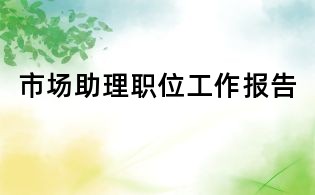 市场助理职位工作报告