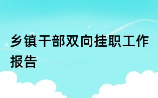 乡镇干部双向挂职工作报告