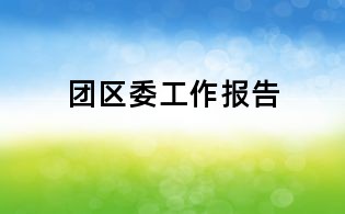 团区委工作报告