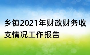乡镇2021年财政财务收支情况工作报告