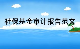 社保基金审计报告范文