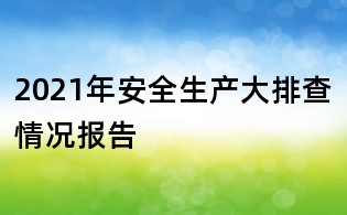 2021年安全生产大排查情况报告