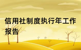 信用社制度执行年工作报告