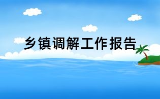 乡镇调解工作报告