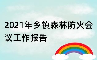 2021年乡镇森林防火会议工作报告
