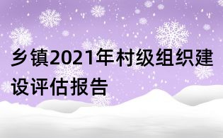 乡镇2021年村级组织建设评估报告