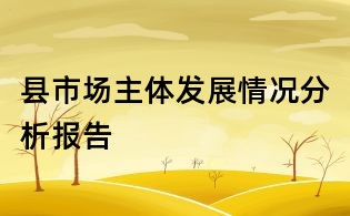 县市场主体发展情况分析报告