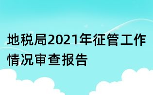 地税局2021年征管工作情况审查报告