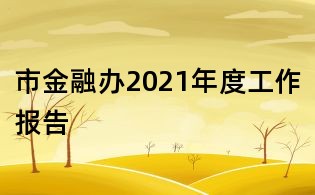 市金融办2021年度工作报告
