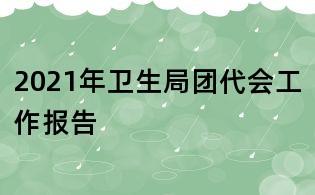 2021年卫生局团代会工作报告