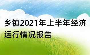 乡镇2021年上半年经济运行情况报告