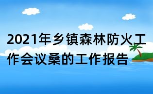 2021年乡镇森林防火工作会议桑的工作报告
