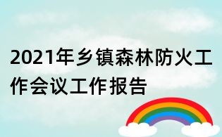 2021年乡镇森林防火工作会议工作报告