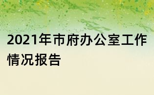 2021年市府办公室工作情况报告