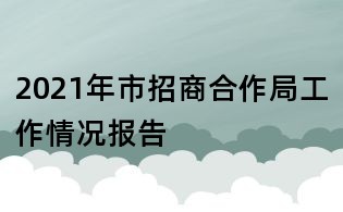 2021年市招商合作局工作情况报告