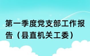 第一季度党支部工作报告(县直机关工委)