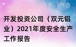 开发投资公司(双元铝业)2021年度安全生产工作报告
