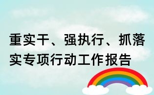 重实干、强执行、抓落实专项行动工作报告