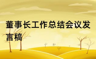 董事长工作总结会议发言稿