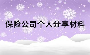 保险公司个人分享材料