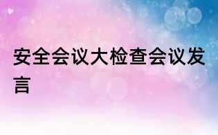 安全会议大检查会议发言