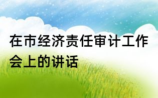 在市经济责任审计工作会上的讲话