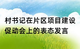 村书记在片区项目建设促动会上的表态发言