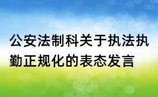 公安法制科关于执法执勤正规化的表态发言