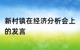 新村镇在经济分析会上的发言