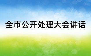 全市公开处理大会讲话