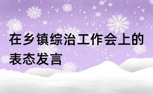 在乡镇综治工作会上的表态发言