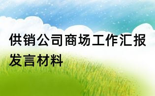 供销公司商场工作汇报发言材料