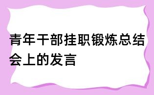 青年干部挂职锻炼总结会上的发言