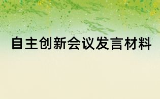 自主创新会议发言材料