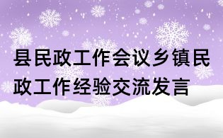 县民政工作会议乡镇民政工作经验交流发言
