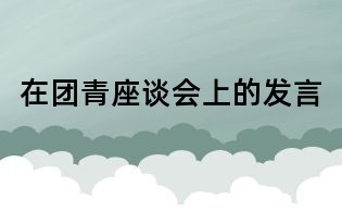 在团青座谈会上的发言