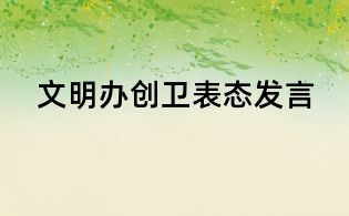 文明办创卫表态发言