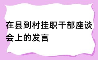 在县到村挂职干部座谈会上的发言