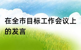 在全市目标工作会议上的发言