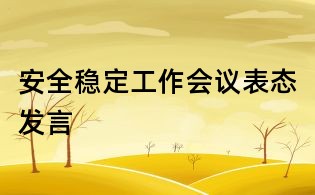 安全稳定工作会议表态发言