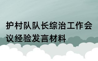 护村队队长综治工作会议经验发言材料