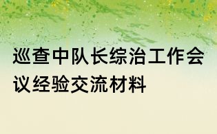 巡查中队长综治工作会议经验交流材料