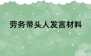 劳务带头人发言材料