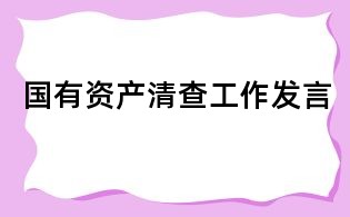 国有资产清查工作发言
