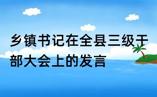 乡镇书记在全县三级干部大会上的发言