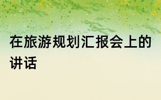 在旅游规划汇报会上的讲话
