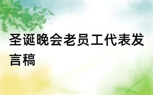 圣诞晚会老员工代表发言稿