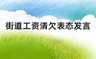 街道工资清欠表态发言