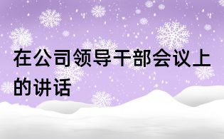 在公司领导干部会议上的讲话